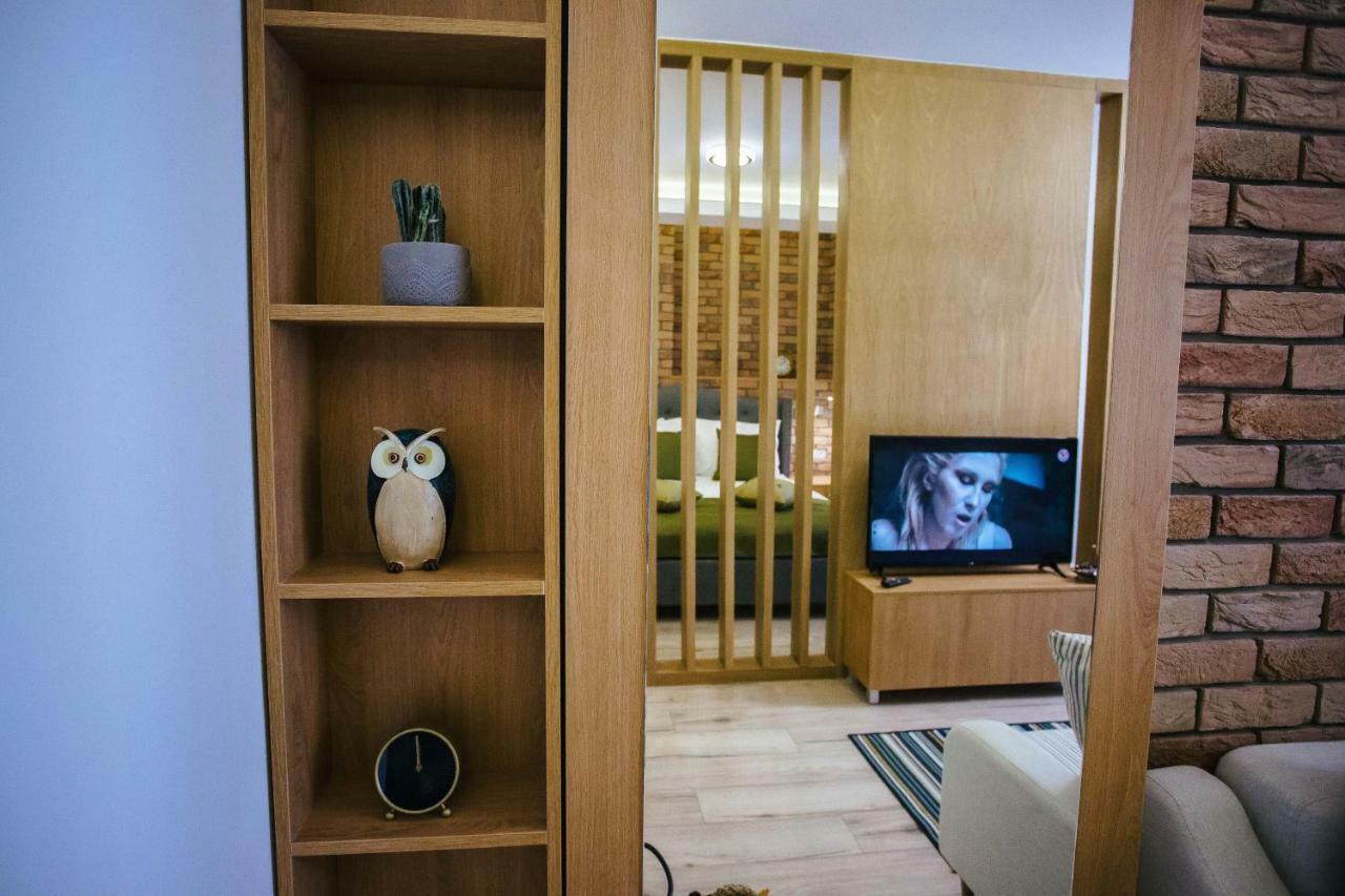 Briana Luxury Studio Κλουζ-Ναπόκα Εξωτερικό φωτογραφία